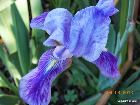 DSCN0492.JPG