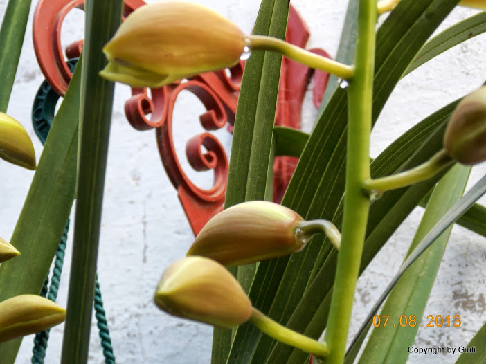 DSCN0495.JPG