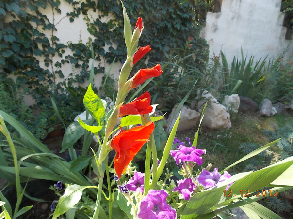 DSCN0499.JPG