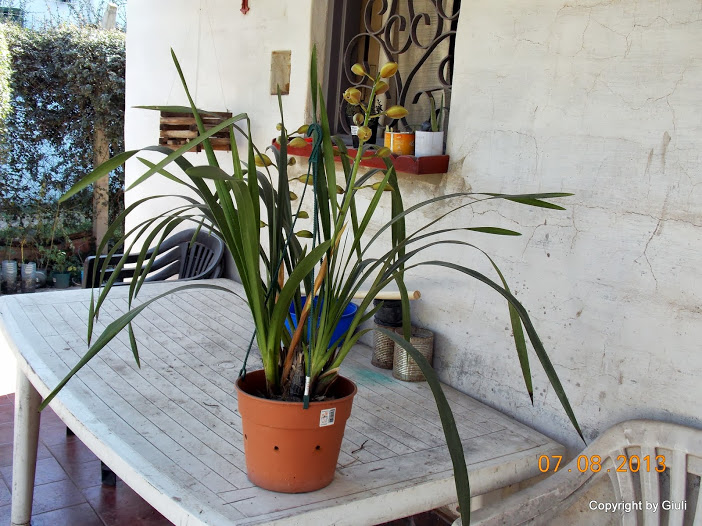 DSCN0502.JPG