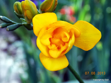 DSCN0504.JPG