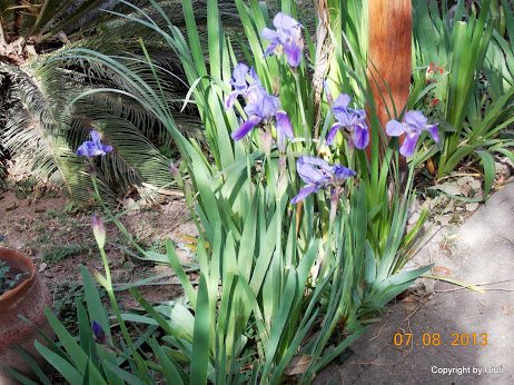 DSCN0507.JPG