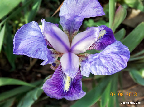 DSCN0508.JPG