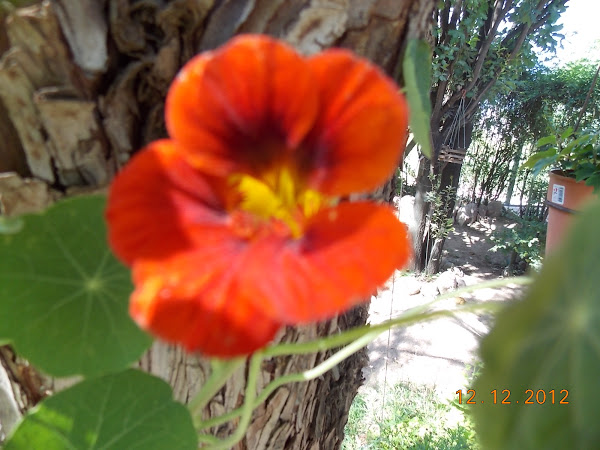 DSCN0518.JPG