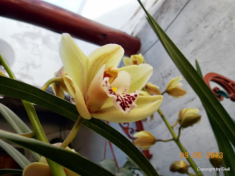 DSCN0522.JPG