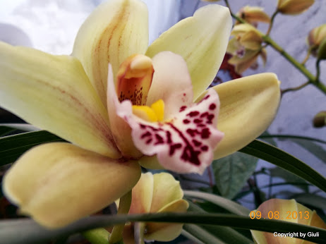 DSCN0524.JPG