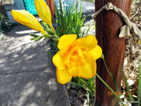 DSCN0525.JPG