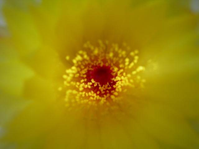 DSCN0527.jpg