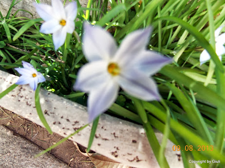 DSCN0528.JPG