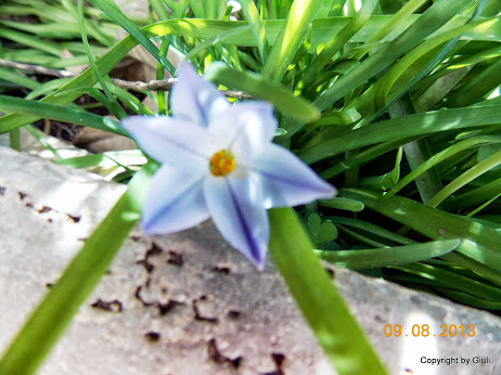DSCN0529.JPG
