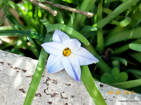 DSCN0530.JPG
