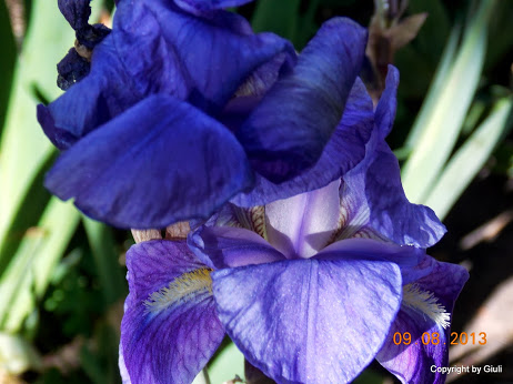 DSCN0533.JPG