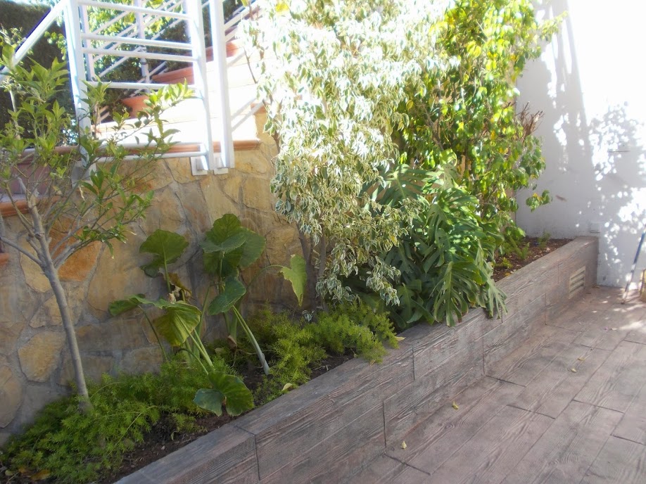 DSCN0536.JPG
