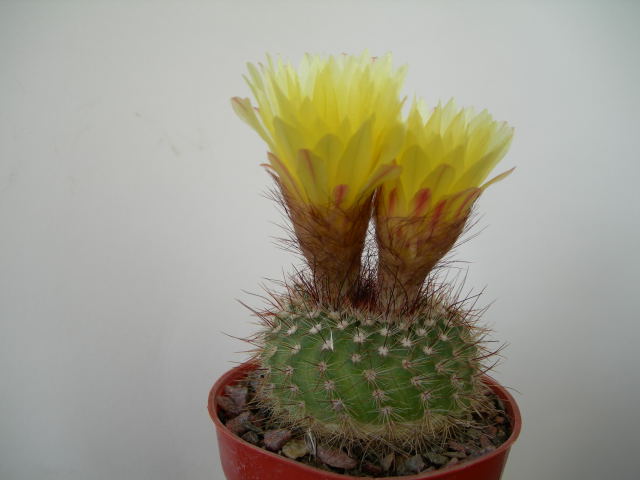 DSCN0548.jpg