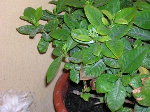 DSCN0548.JPG