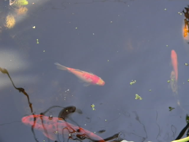 DSCN0551.jpg
