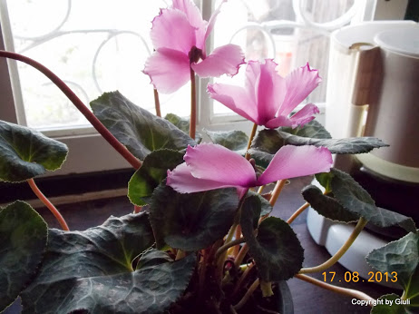 DSCN0562.JPG