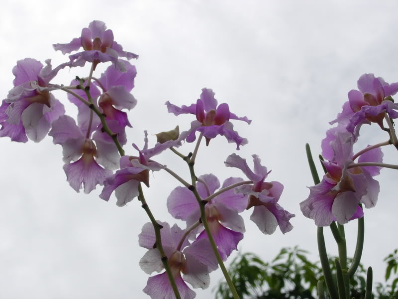 DSCN0566.jpg