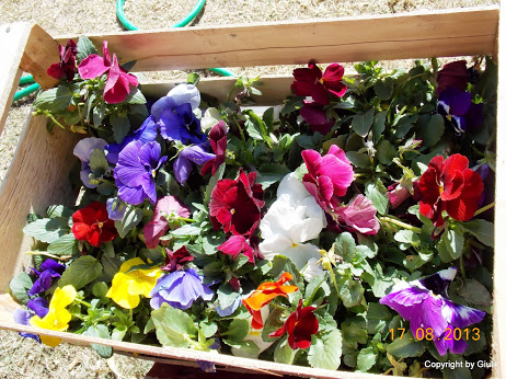 DSCN0567.JPG