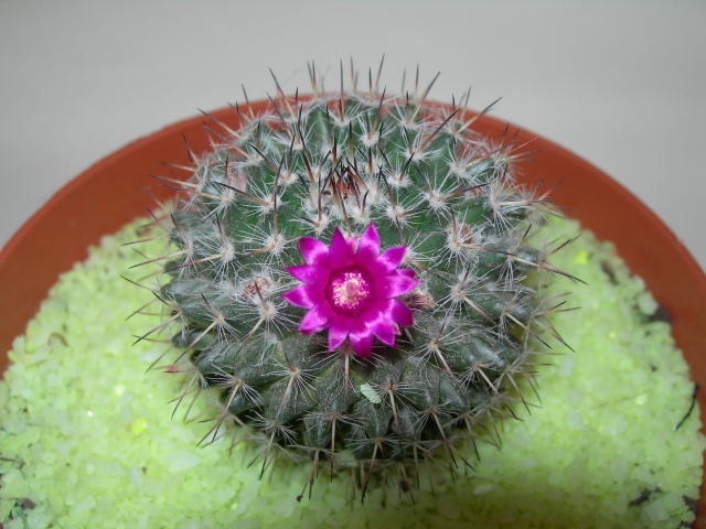 DSCN0570.jpg