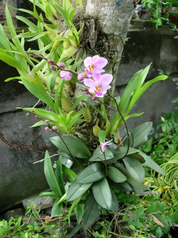 DSCN0571.jpg