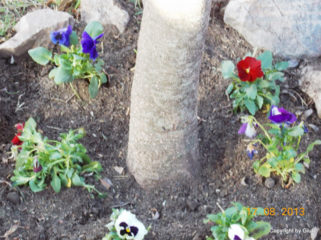 DSCN0572.JPG
