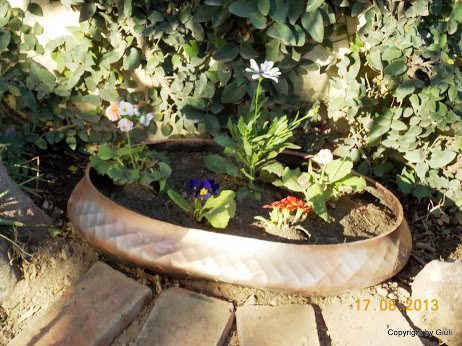 DSCN0573.JPG