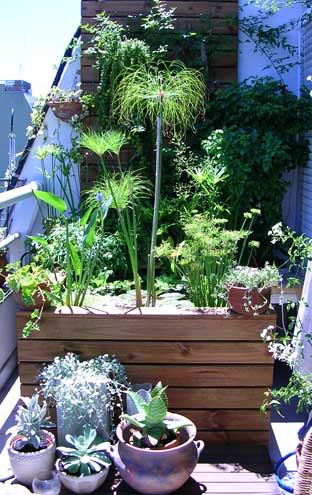 Estanques - Estanque Prefabricado para tu Jardín - Verdecora