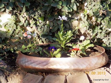 DSCN0574.JPG