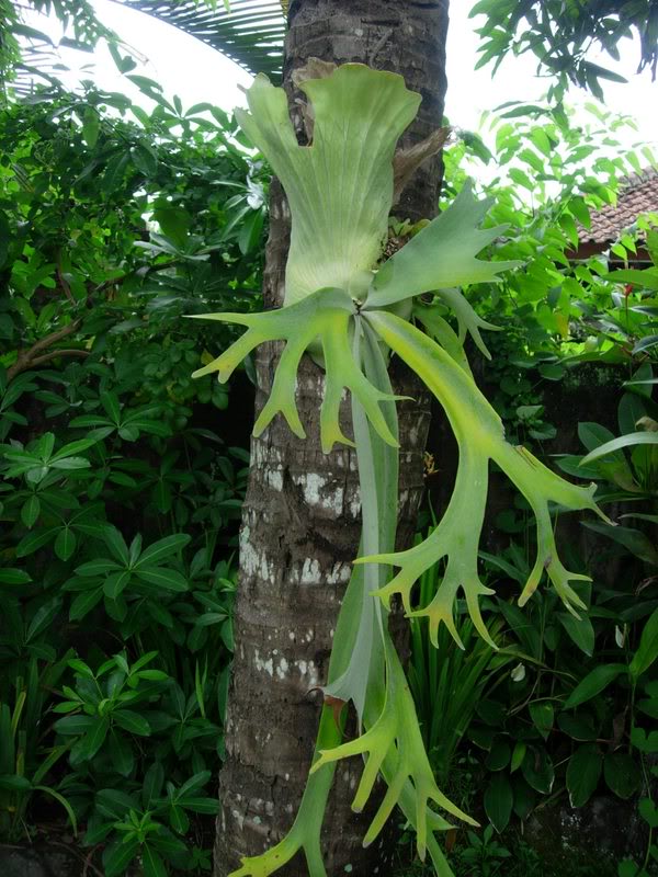 DSCN0575.jpg