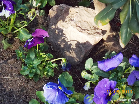 DSCN0575.JPG