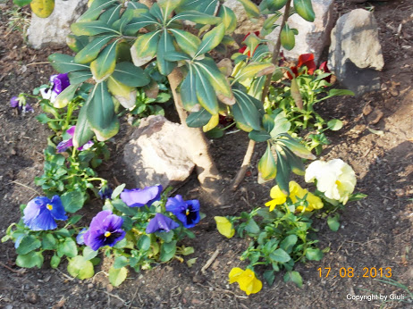 DSCN0576.JPG