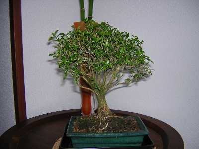 DSCN0578.JPG