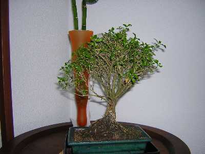 DSCN0580.JPG