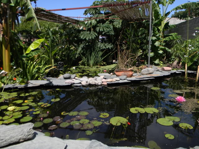 DSCN0585.jpg