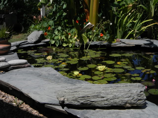 DSCN0587.jpg