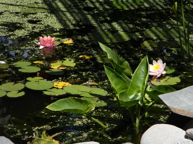 DSCN0589.jpg
