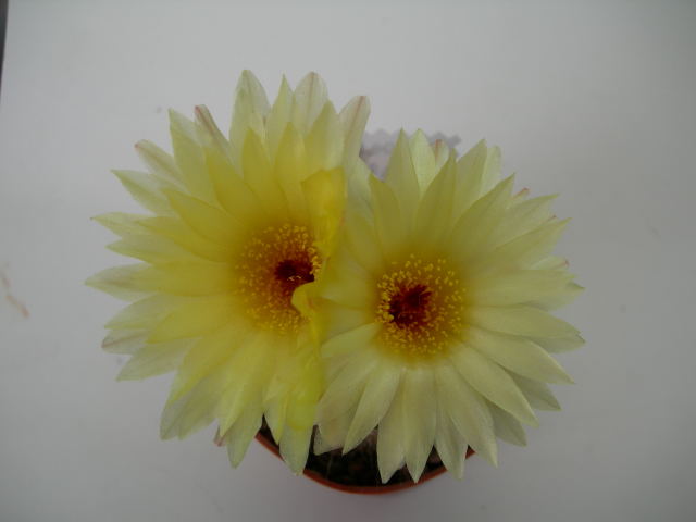 DSCN0589.jpg