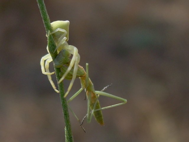 DSCN0590.jpg