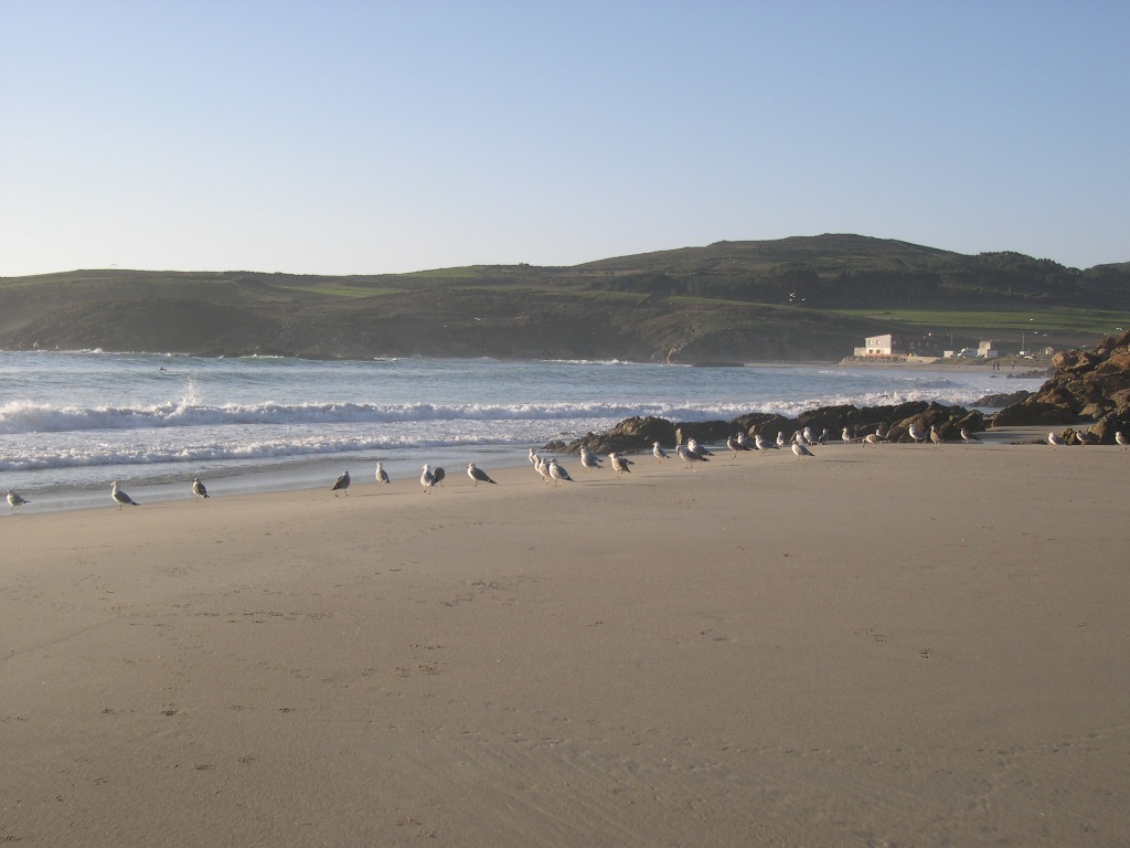 DSCN0596.jpg