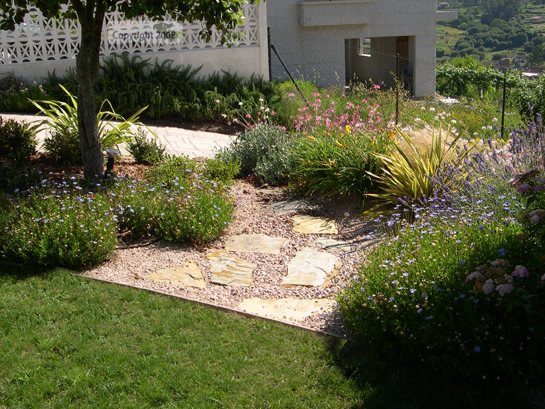 DSCN0596.jpg