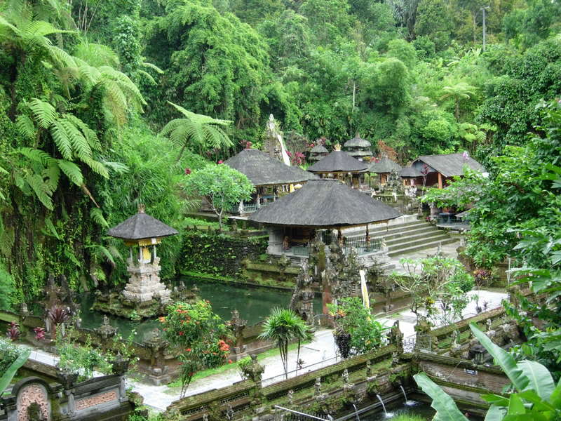 DSCN0604.jpg
