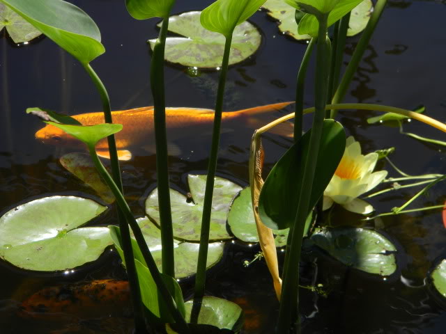 DSCN0605.jpg