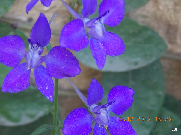 DSCN0607.JPG