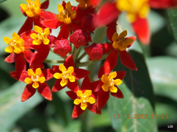DSCN0608.JPG