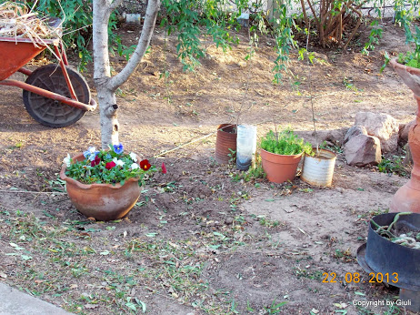 DSCN0608.JPG