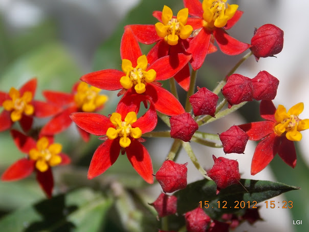 DSCN0609.JPG