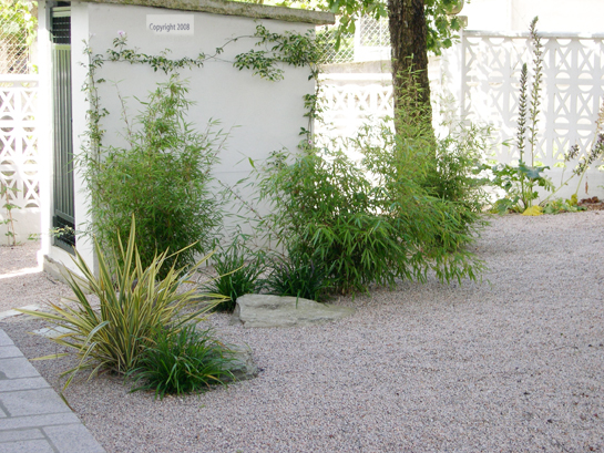 DSCN0610.jpg
