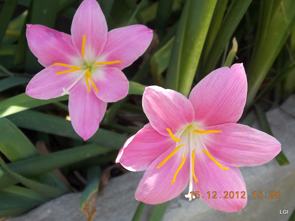 DSCN0614.JPG