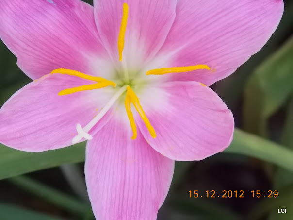 DSCN0616.JPG